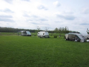 Mooie open plekken voor optimaal genot op Boerencamping de Balloohoeve